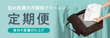 定期クリーニングコース